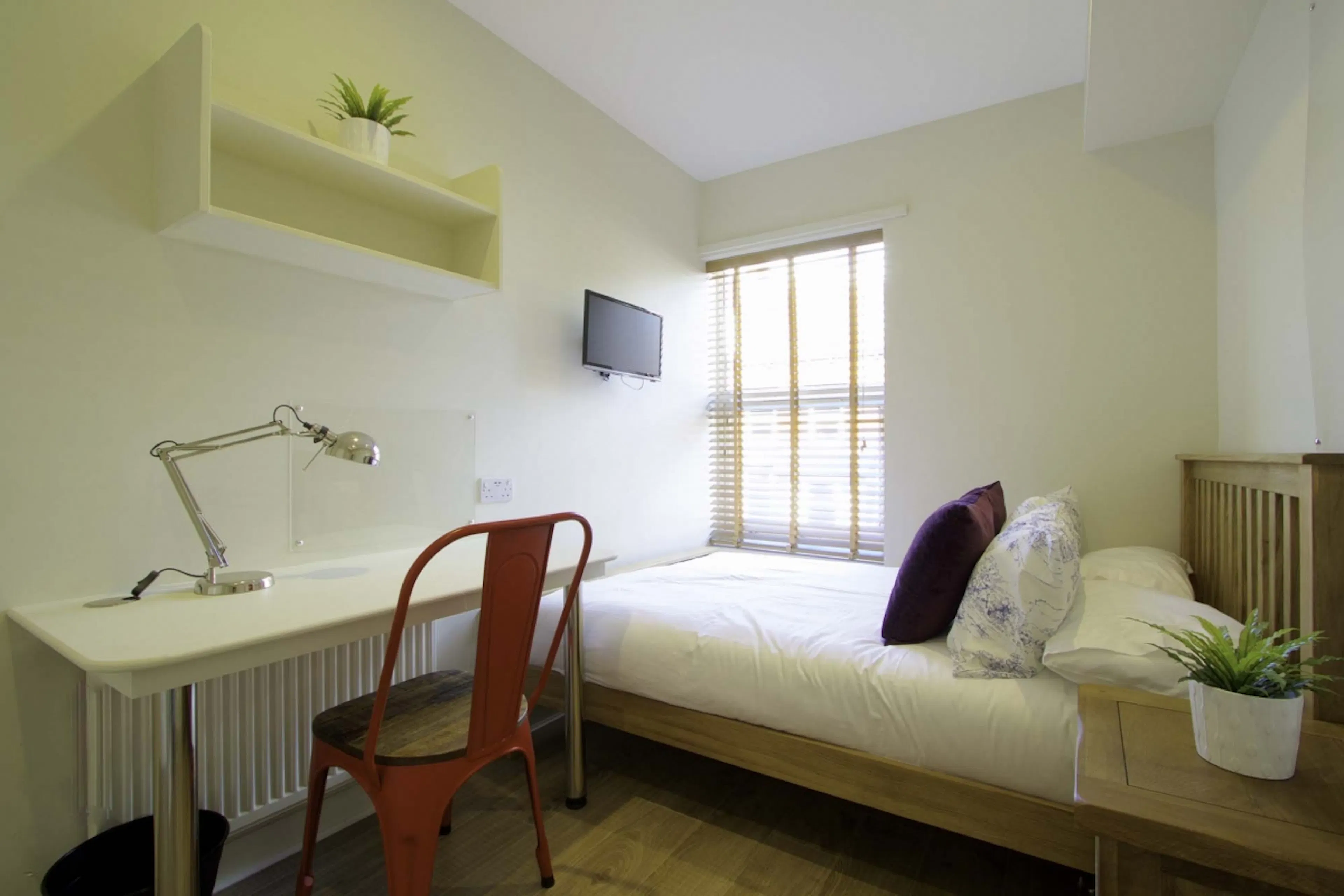 ROOM ROOM 1