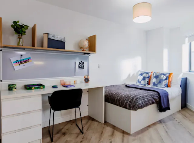 Premium Accessible Studio room image 1