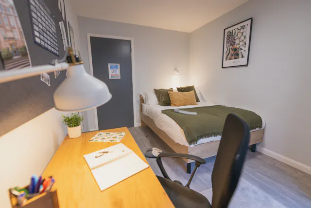 bronze plus room room image 4