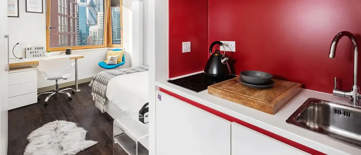 Bronze Studio Plus Lower Level