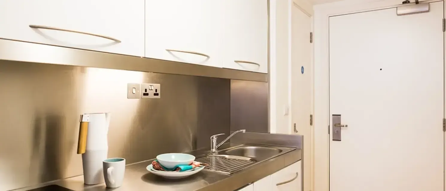Bronze Studio Lower Level KITCHEN 4