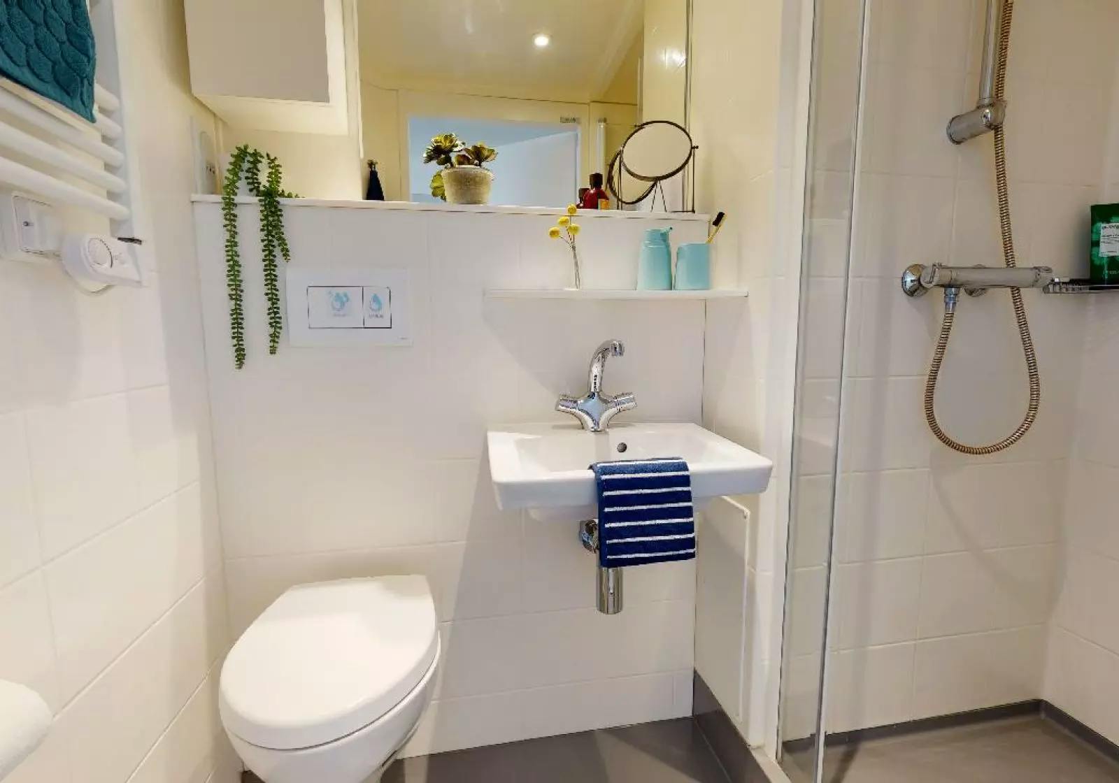 Bronze Studio Premium