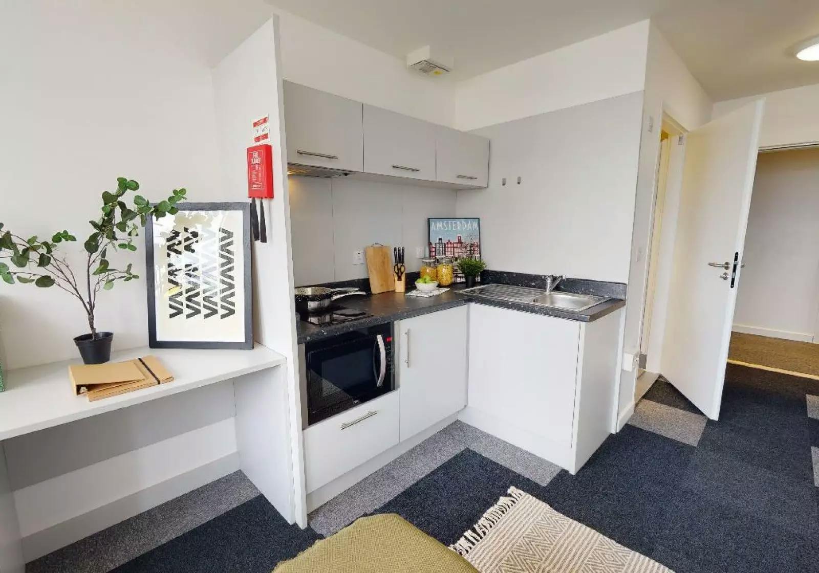 Bronze Studio Premium