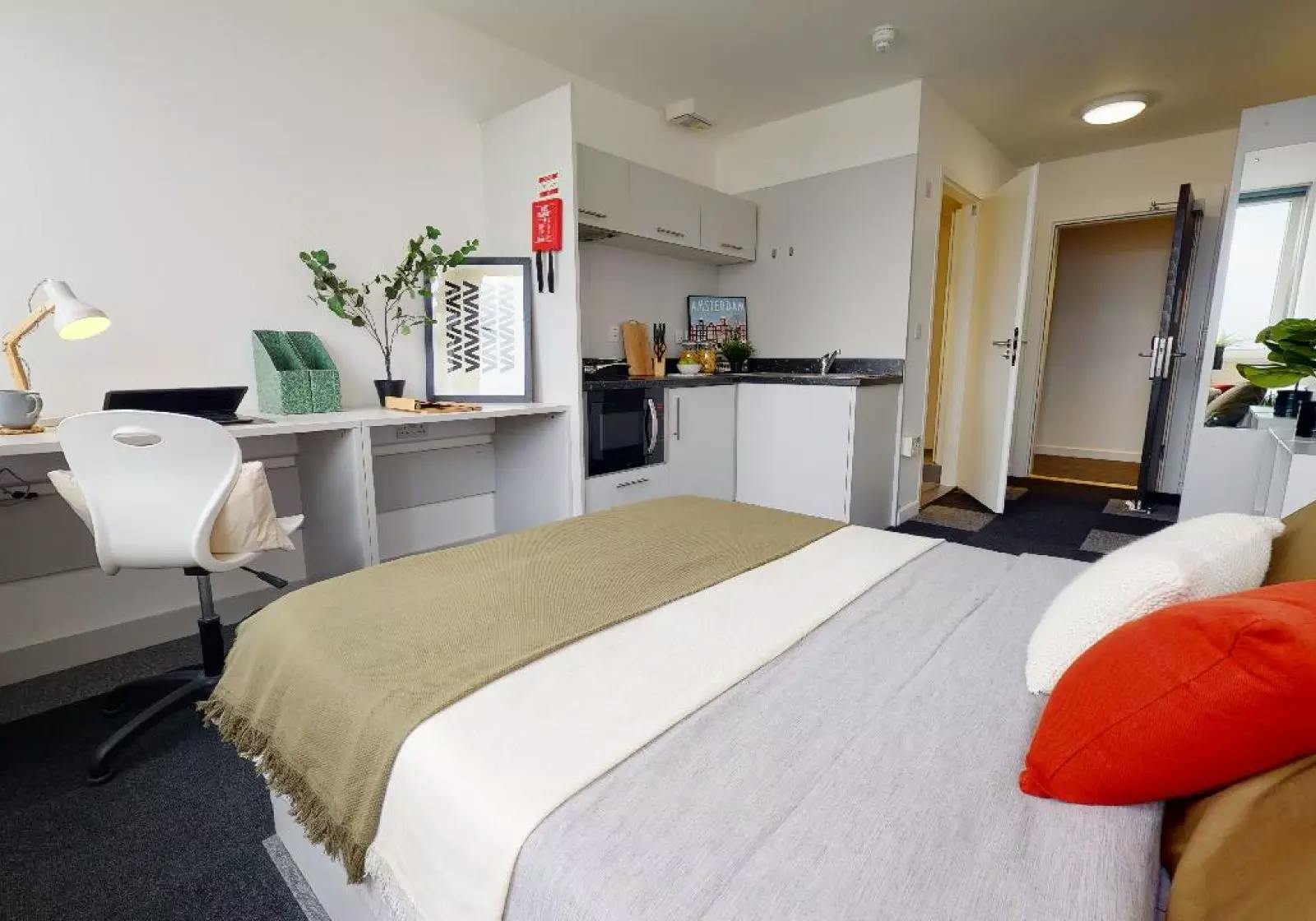 Bronze Studio Premium