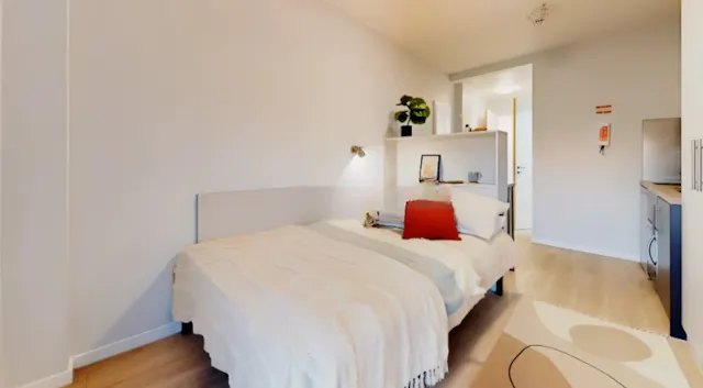 Bronze Studio Plus room image 1