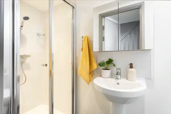 Premium Plus Studio