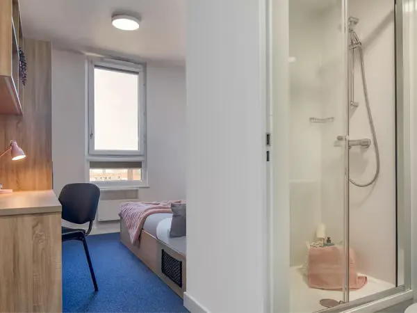 Premium Ensuite room image 3