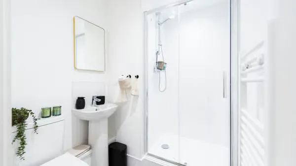 Gold Plus 