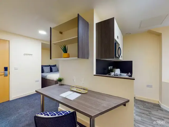 Premier Studio room image 9
