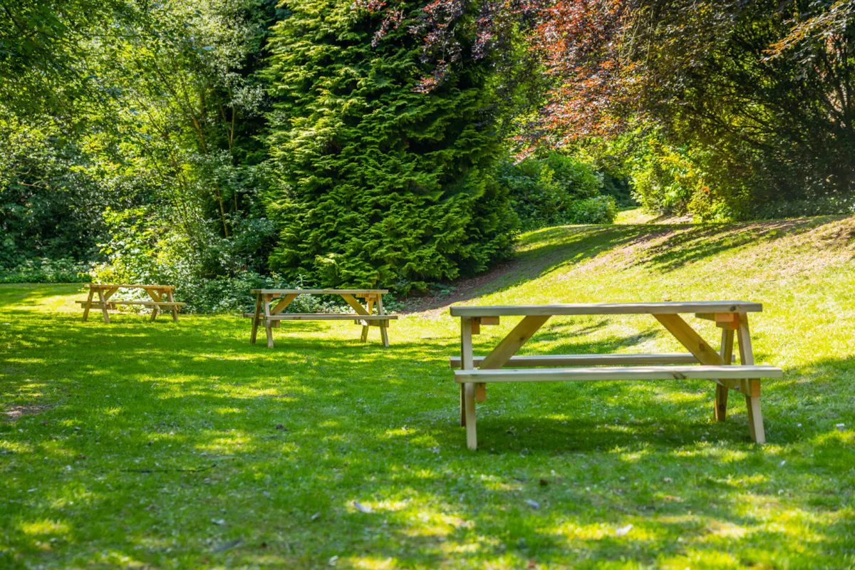 COMMON_AREA COMMON_AREA