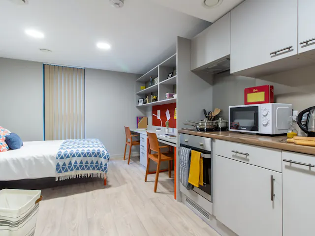 Block A Lower Floor Silver Studio room image 2