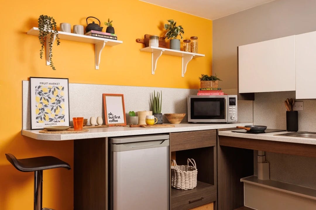 Wheelchair Accessible Studio Double