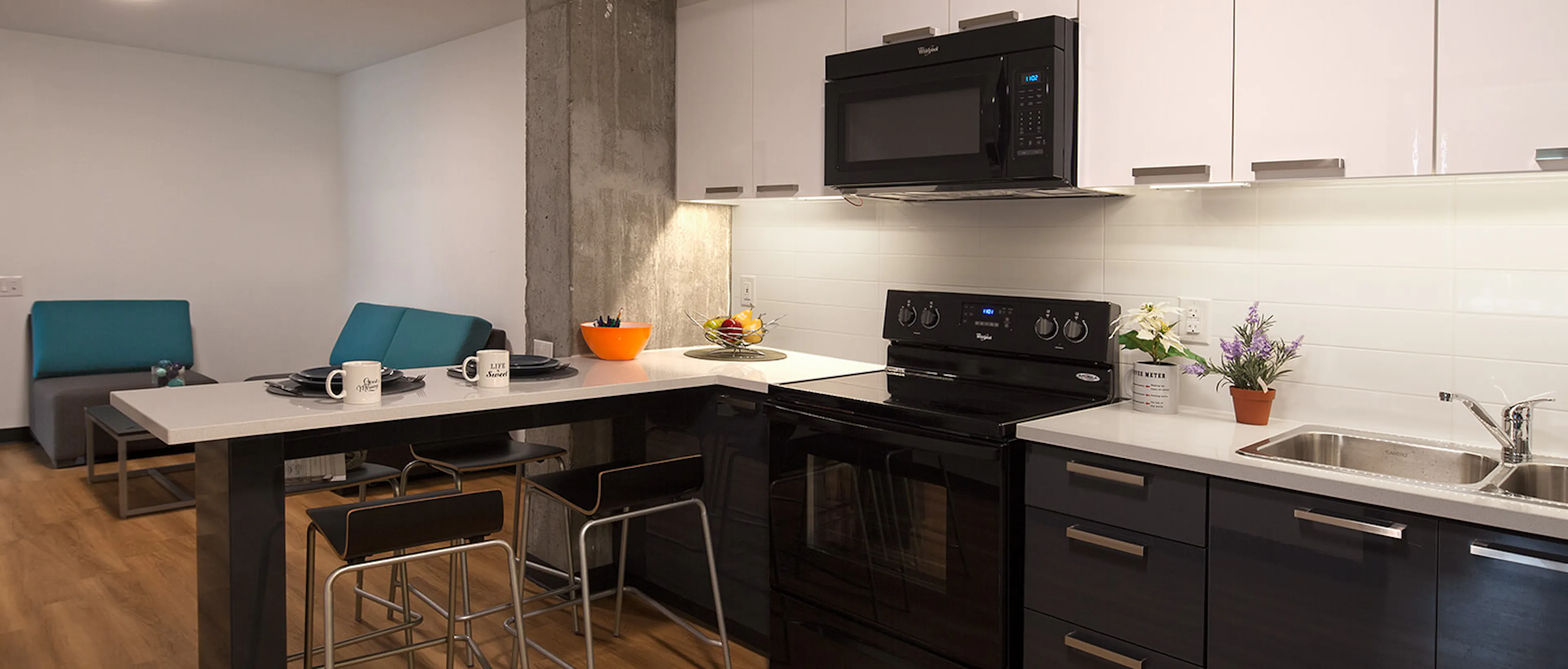 2 Bed, 1 Bath Deluxe KITCHEN 2