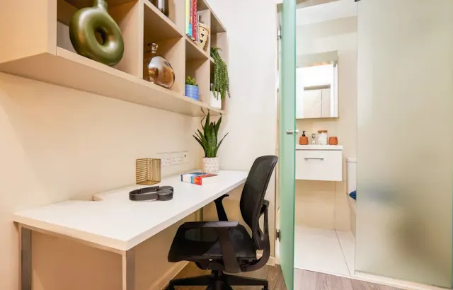 Platinum Studio room image 2