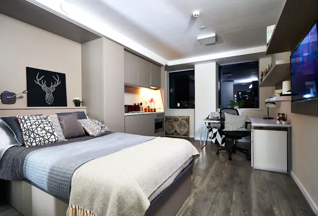 Classic Plus room image 1