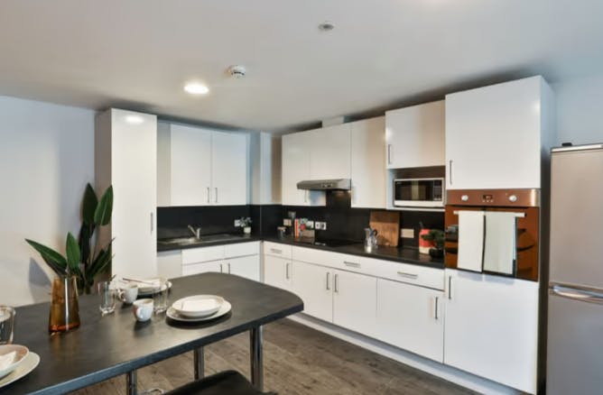 Classic Bigger Shared Apartment