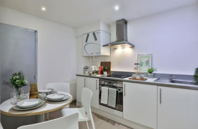 Classic Shared Apartment
