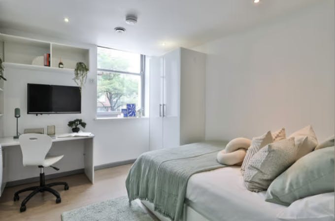 Classic Shared Apartment