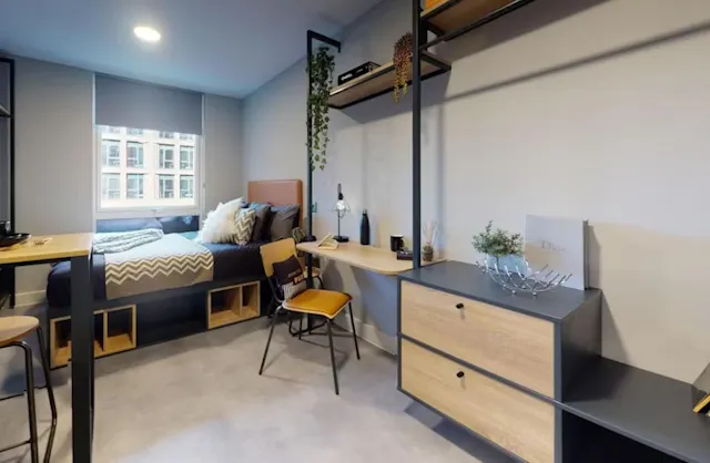 Platinum Studio room image 1