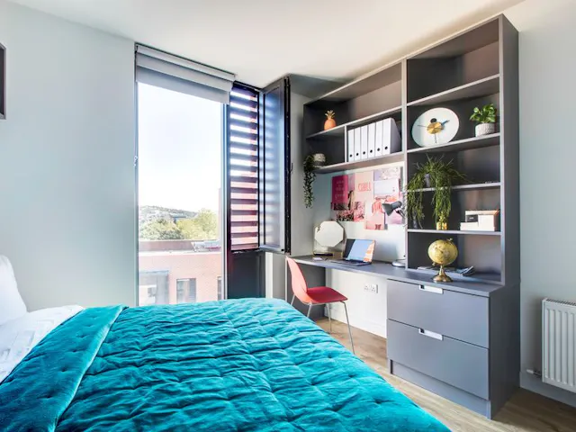 Classic Plus room image 2