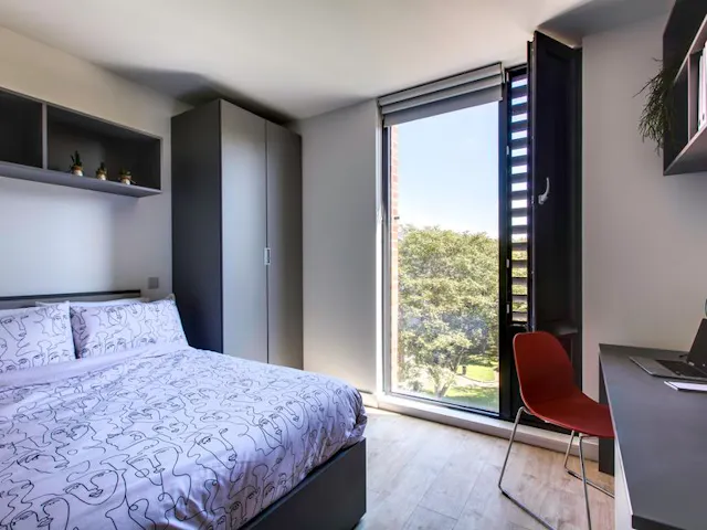 Premium Plus room image 2