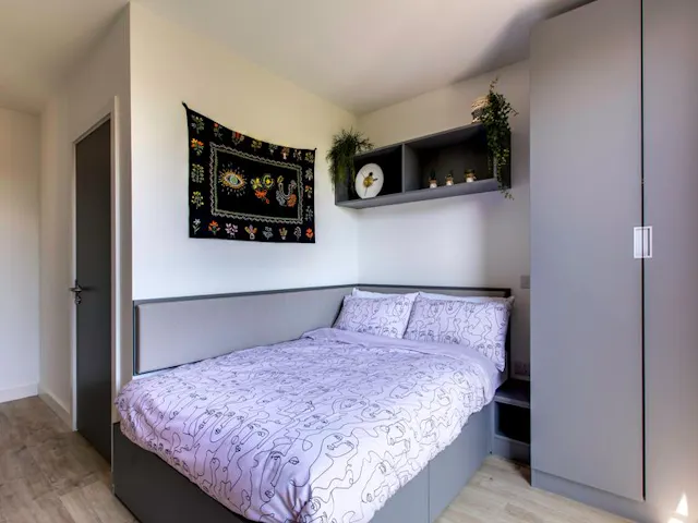 Premium Plus room image 1