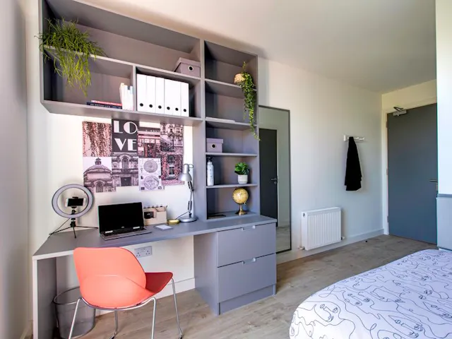 Premium Plus room image 3