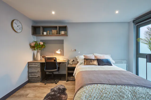 Large Studio room image 1