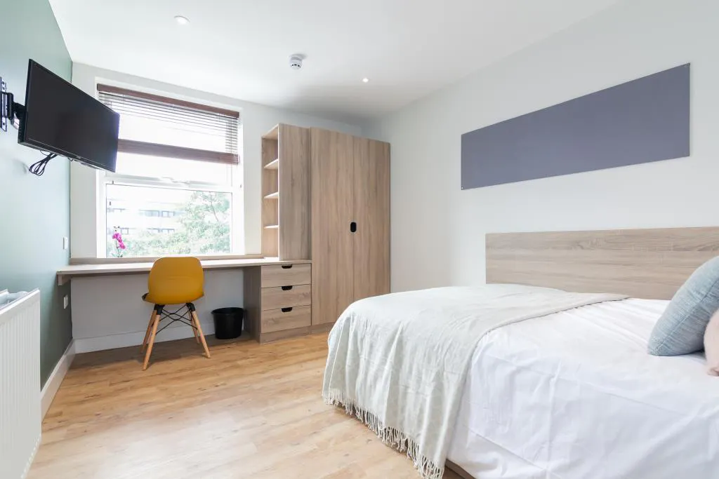 ROOM ROOM 1
