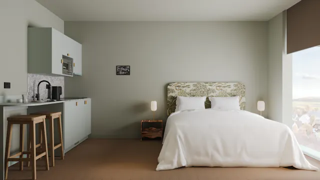 Deluxe room image 1