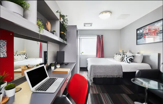 Deluxe Double Studio room image 2