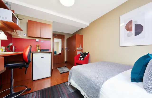 Deluxe Double Studio room image 10