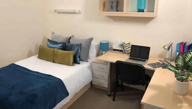 Deluxe Plus room image 1