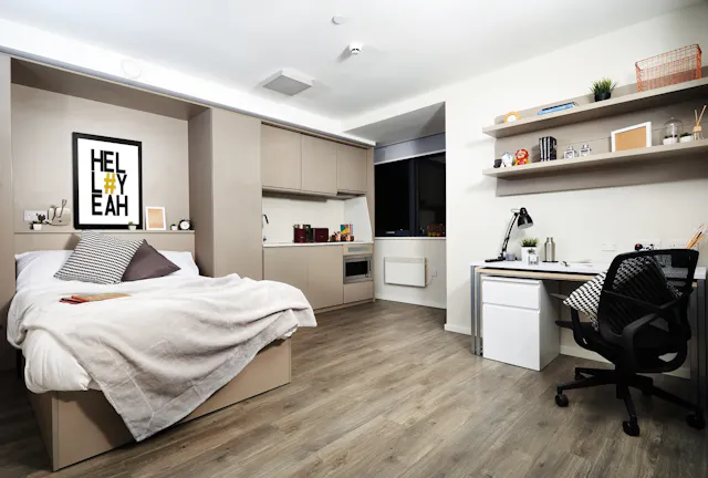 Deluxe room image 1