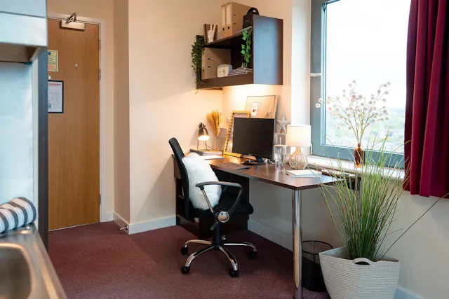 Deluxe Studio room image 2