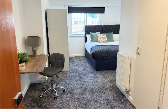 Deluxe Plus King Studio room image 1