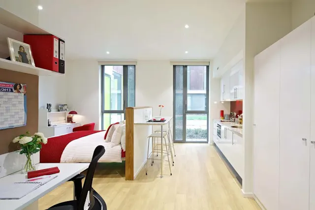 Deluxe Premium - Accessible room image 3