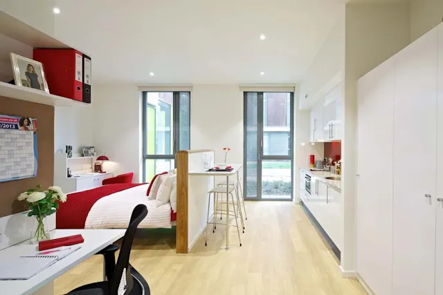 Deluxe Premium Studio room image 1