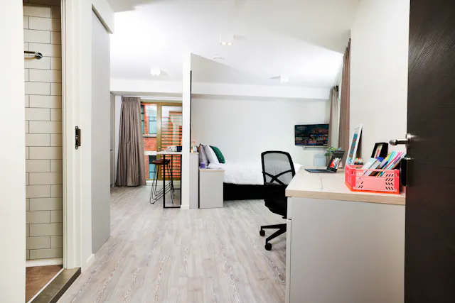 Deluxe room image 2
