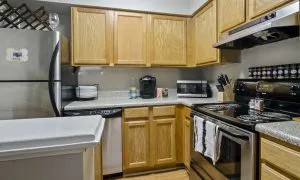 1 Bedroom Apartment KITCHEN 2