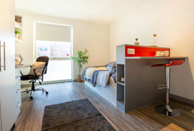 Deluxe Plus Studio room image 1