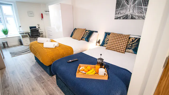 Premium Studio Dual Occupancy room image 4
