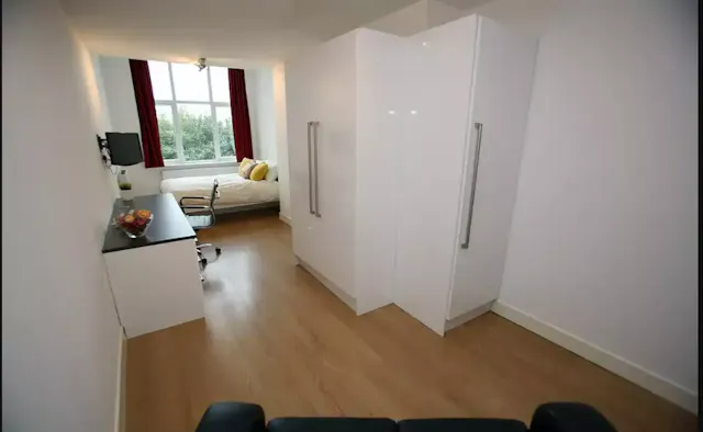 Silver Super Large Courtyard Studio room image 2