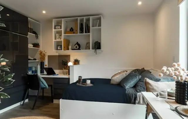 Elite Studio room image 1