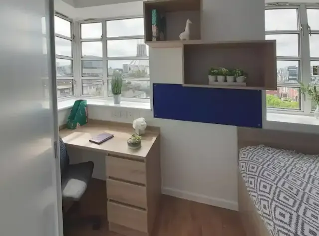 Ensuite plus room image 4