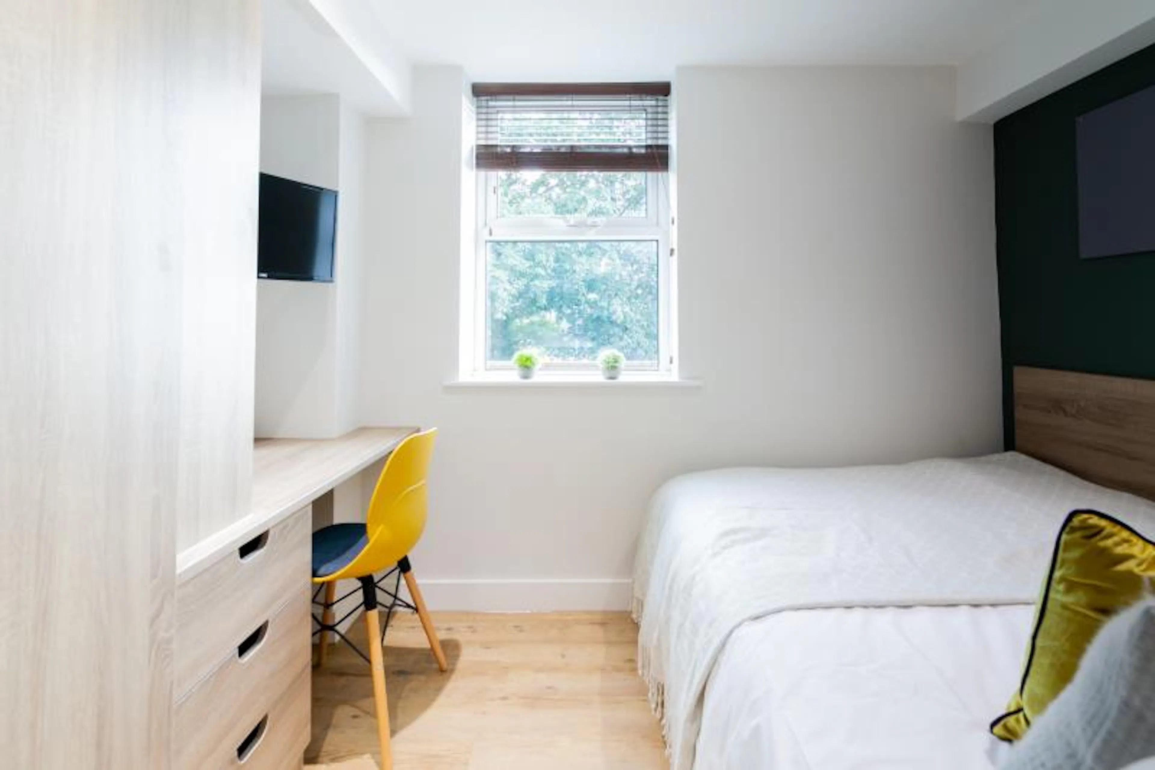ROOM ROOM 2