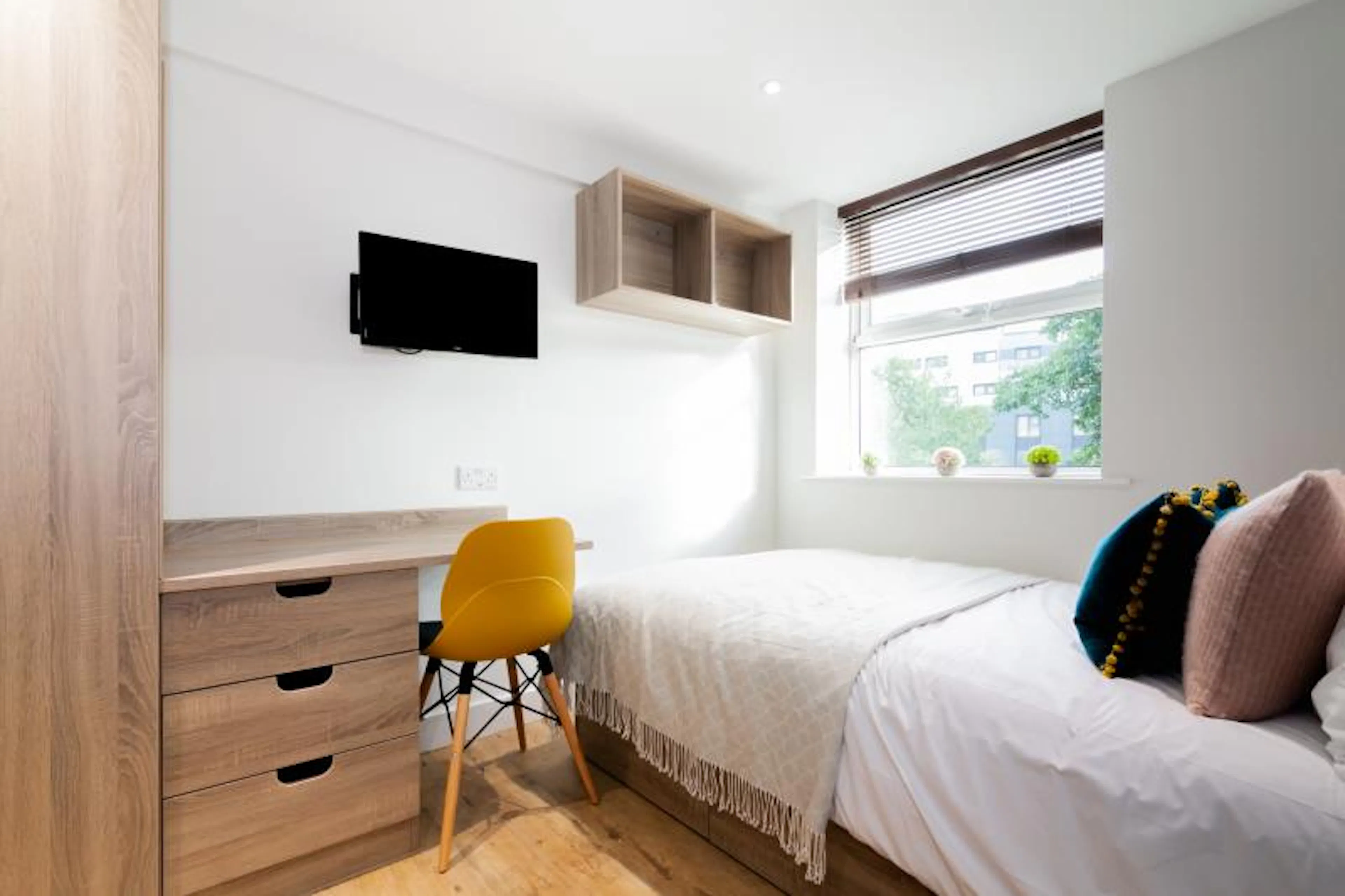 ROOM ROOM 1