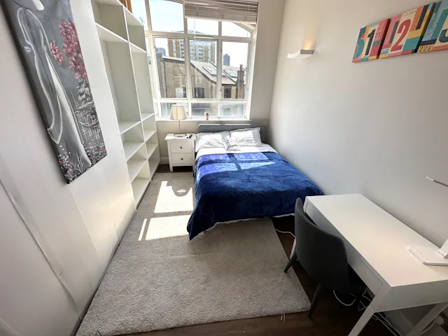 Flex Basic room image 1