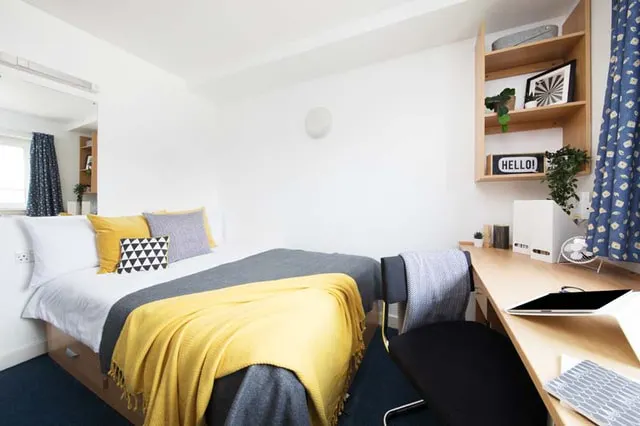 Ensuite: Two Bed Flat Large Standard Double room image 1