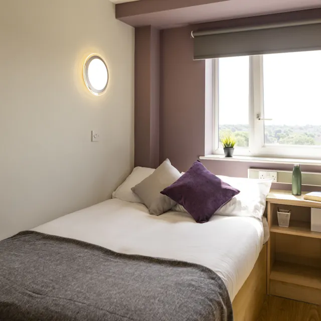 Gold Plus room image 1